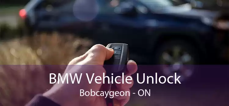 BMW Vehicle Unlock Bobcaygeon - ON