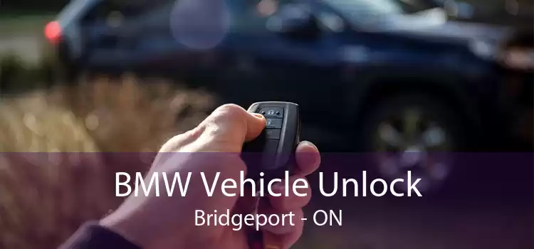 BMW Vehicle Unlock Bridgeport - ON