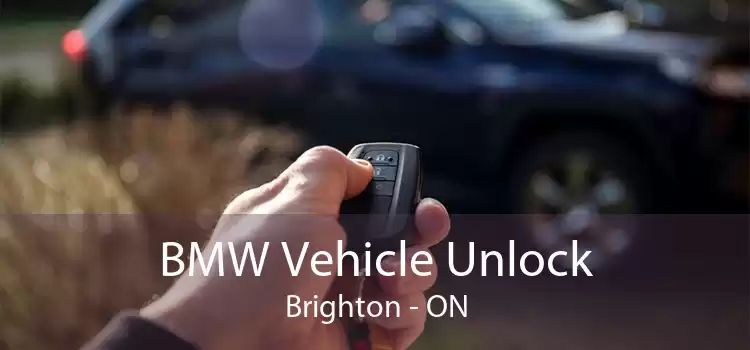 BMW Vehicle Unlock Brighton - ON
