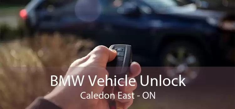 BMW Vehicle Unlock Caledon East - ON
