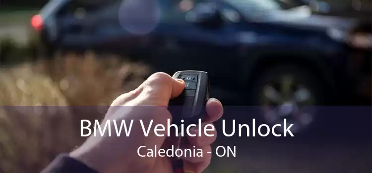 BMW Vehicle Unlock Caledonia - ON