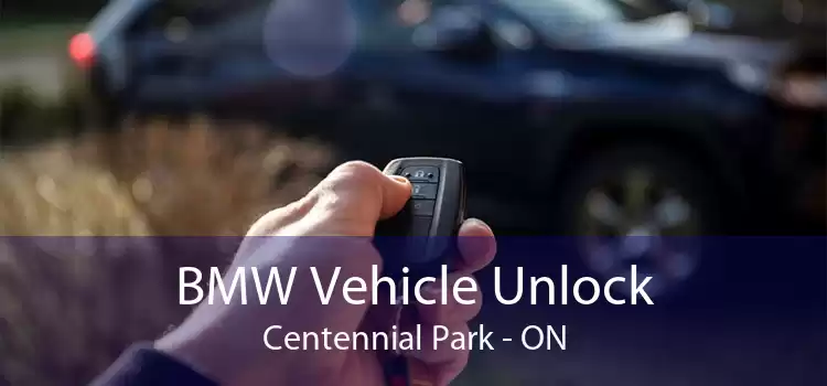 BMW Vehicle Unlock Centennial Park - ON