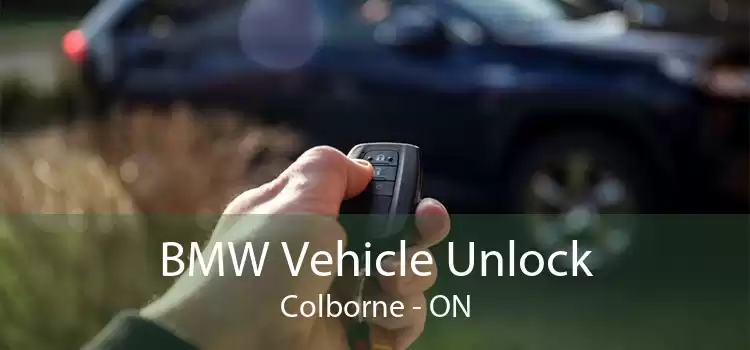 BMW Vehicle Unlock Colborne - ON
