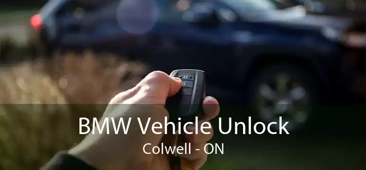 BMW Vehicle Unlock Colwell - ON