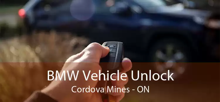 BMW Vehicle Unlock Cordova Mines - ON