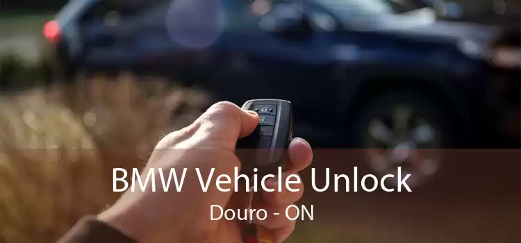 BMW Vehicle Unlock Douro - ON
