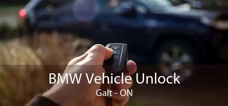 BMW Vehicle Unlock Galt - ON