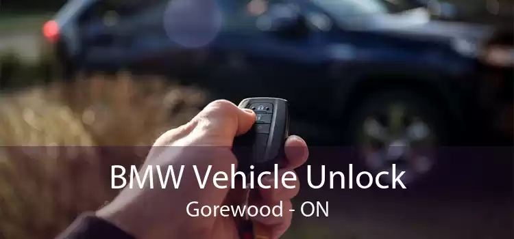BMW Vehicle Unlock Gorewood - ON