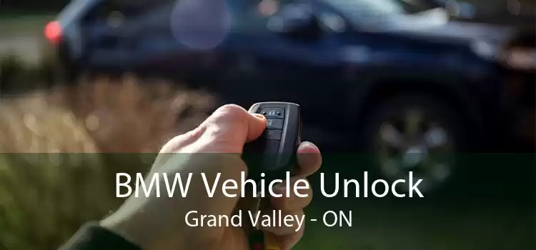 BMW Vehicle Unlock Grand Valley - ON