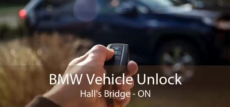 BMW Vehicle Unlock Hall's Bridge - ON