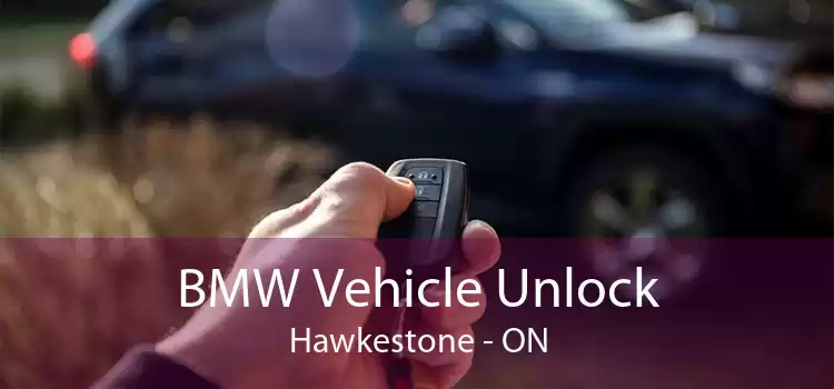 BMW Vehicle Unlock Hawkestone - ON