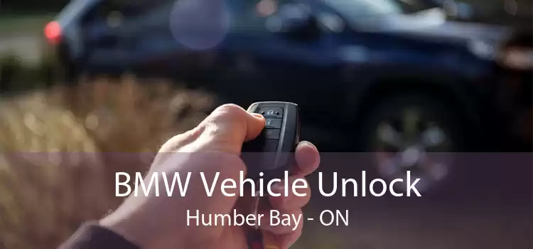 BMW Vehicle Unlock Humber Bay - ON