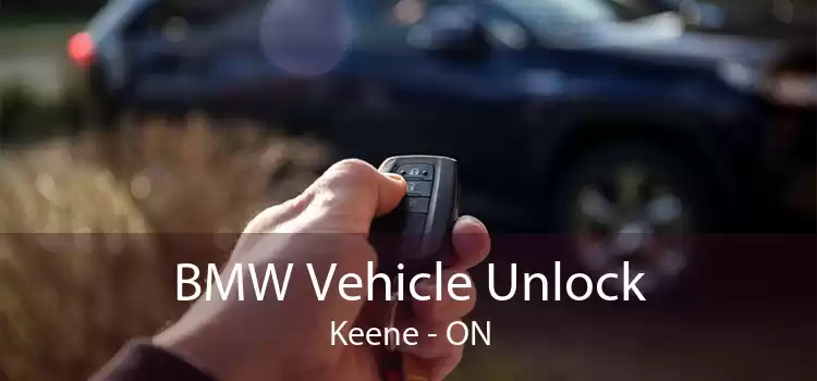 BMW Vehicle Unlock Keene - ON