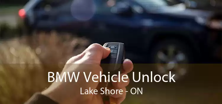 BMW Vehicle Unlock Lake Shore - ON