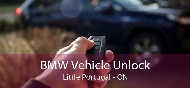 BMW Vehicle Unlock Little Portugal - ON
