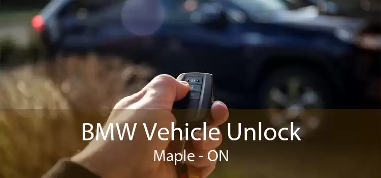 BMW Vehicle Unlock Maple - ON