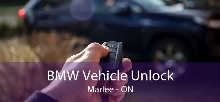 BMW Vehicle Unlock Marlee - ON