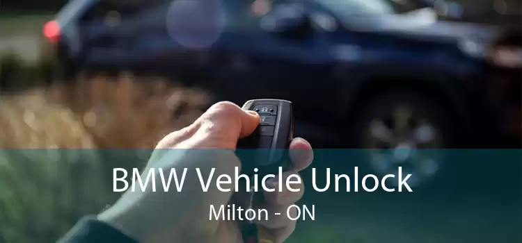 BMW Vehicle Unlock Milton - ON
