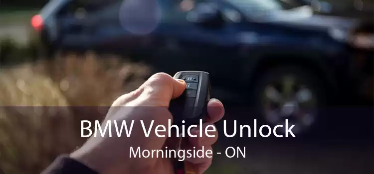 BMW Vehicle Unlock Morningside - ON