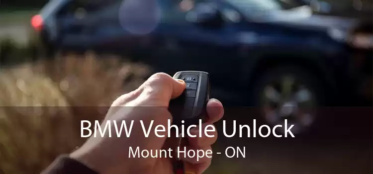BMW Vehicle Unlock Mount Hope - ON