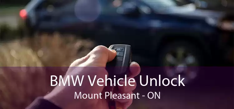 BMW Vehicle Unlock Mount Pleasant - ON