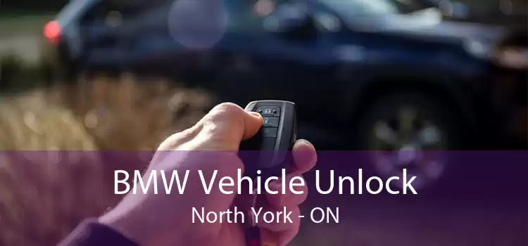 BMW Vehicle Unlock North York - ON