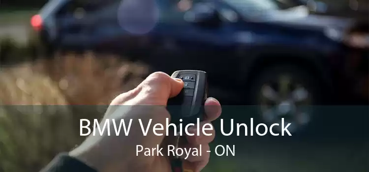 BMW Vehicle Unlock Park Royal - ON