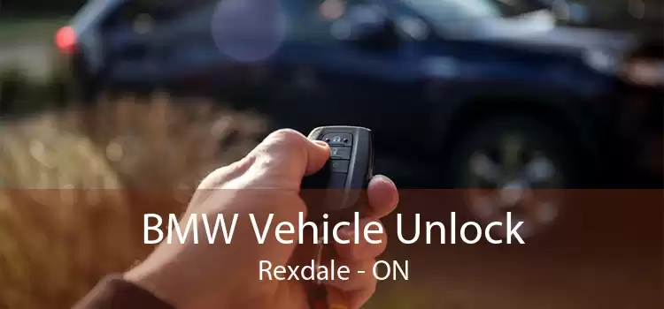 BMW Vehicle Unlock Rexdale - ON