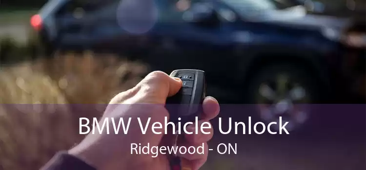 BMW Vehicle Unlock Ridgewood - ON