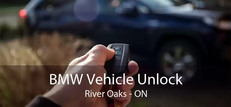 BMW Vehicle Unlock River Oaks - ON