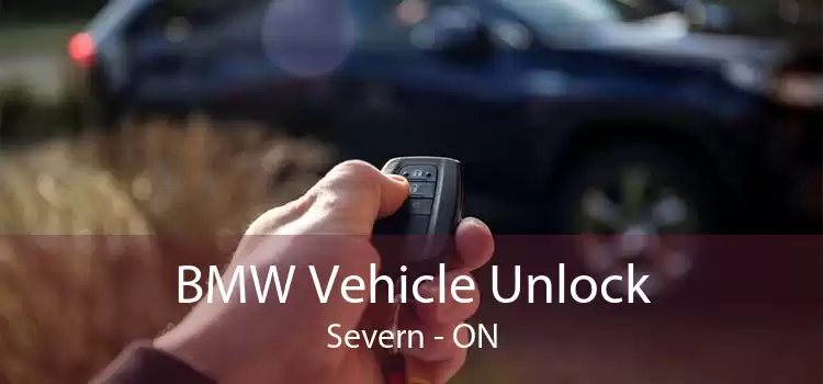 BMW Vehicle Unlock Severn - ON