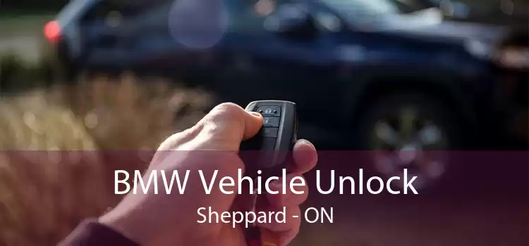 BMW Vehicle Unlock Sheppard - ON