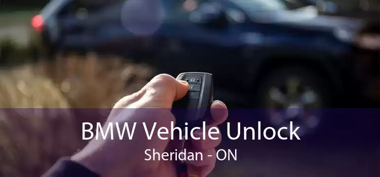 BMW Vehicle Unlock Sheridan - ON