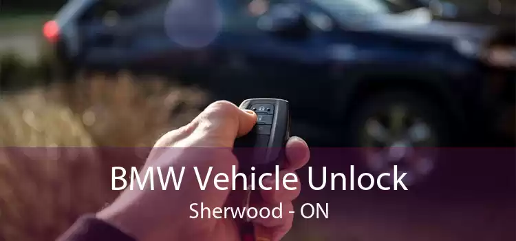 BMW Vehicle Unlock Sherwood - ON