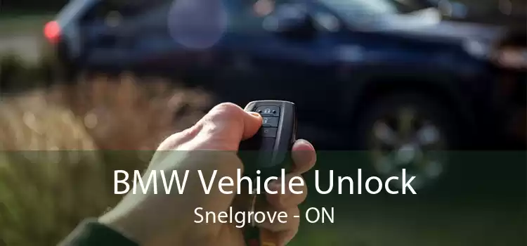BMW Vehicle Unlock Snelgrove - ON
