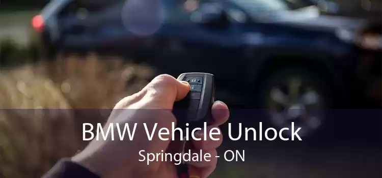 BMW Vehicle Unlock Springdale - ON