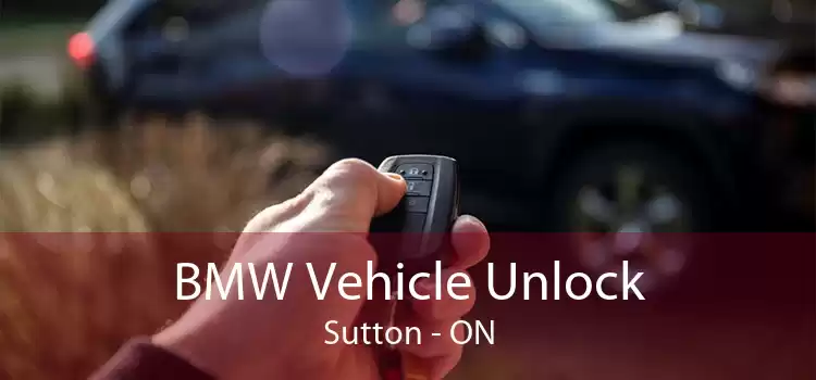 BMW Vehicle Unlock Sutton - ON