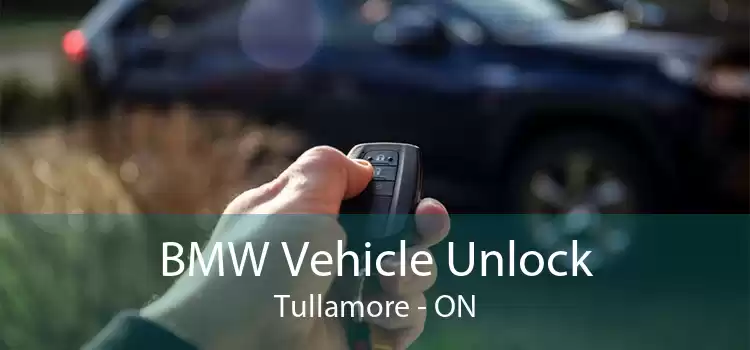 BMW Vehicle Unlock Tullamore - ON