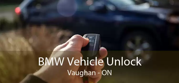 BMW Vehicle Unlock Vaughan - ON
