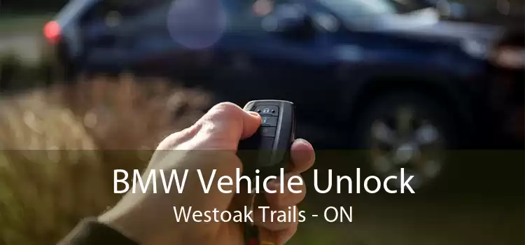 BMW Vehicle Unlock Westoak Trails - ON