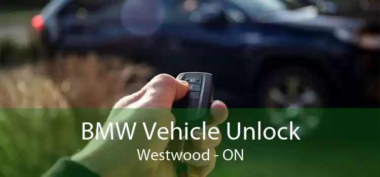 BMW Vehicle Unlock Westwood - ON