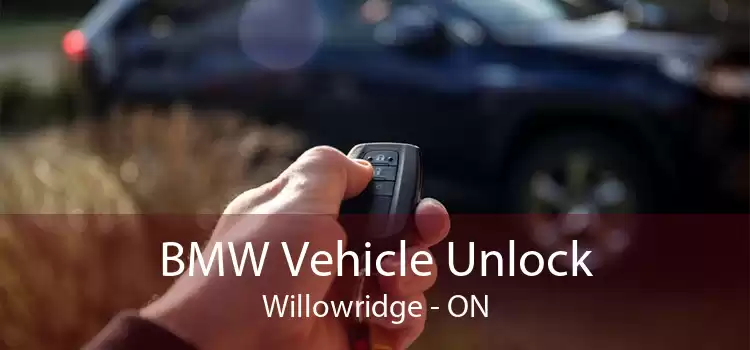 BMW Vehicle Unlock Willowridge - ON