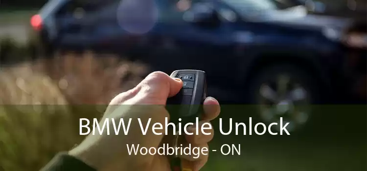 BMW Vehicle Unlock Woodbridge - ON