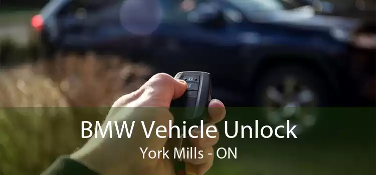 BMW Vehicle Unlock York Mills - ON