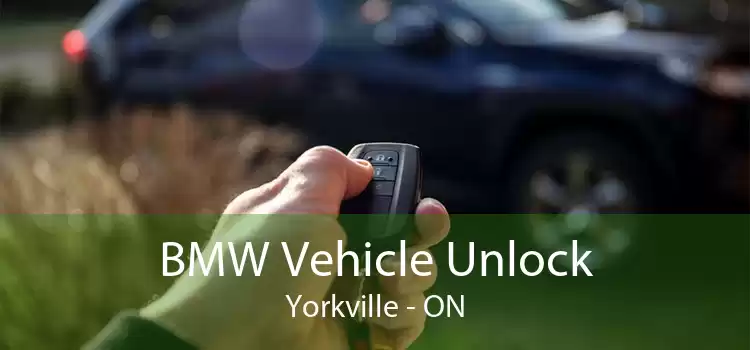 BMW Vehicle Unlock Yorkville - ON