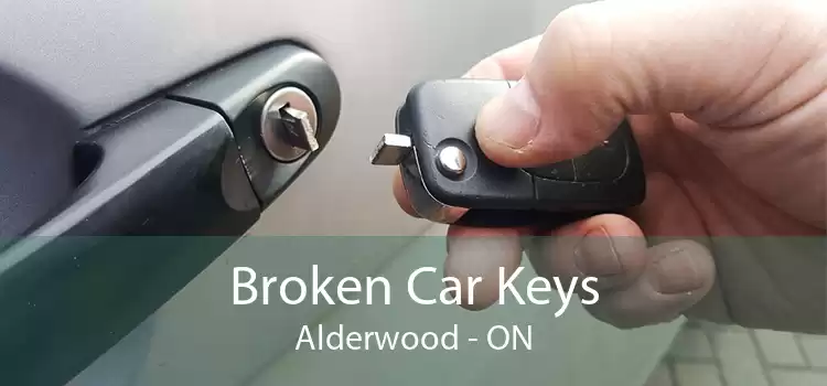 Broken Car Keys Alderwood - ON