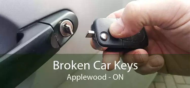Broken Car Keys Applewood - ON