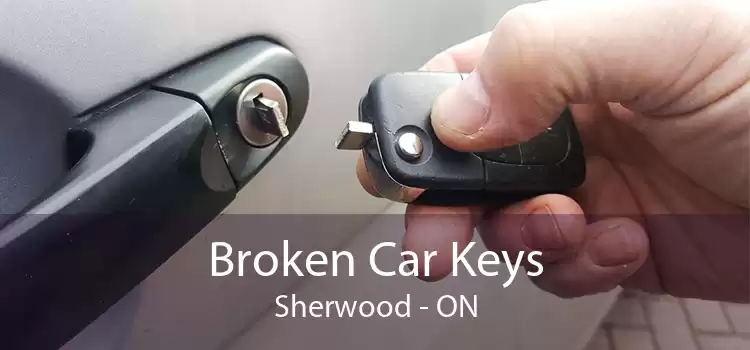 Broken Car Keys Sherwood - ON
