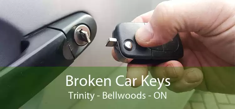 Broken Car Keys Trinity - Bellwoods - ON