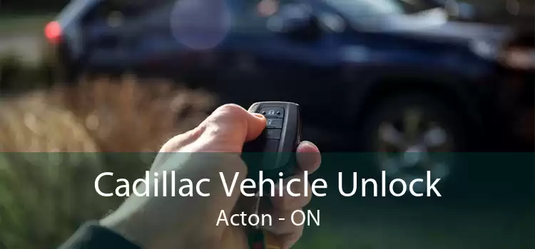Cadillac Vehicle Unlock Acton - ON